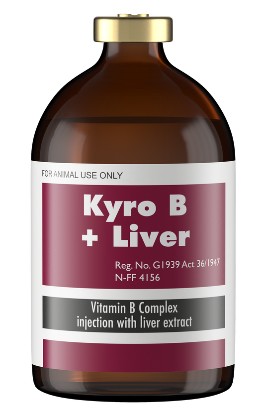 Kyro B + Liver