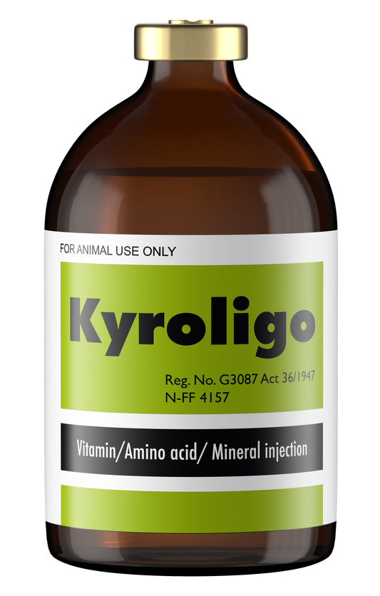 Kyroligo